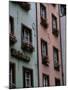 The Fish Market in the Old Town, Cologne, North Rhine Westphalia, Germany-Yadid Levy-Mounted Photographic Print