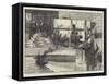 The Fish Supply, Sketches of a Fish-Market-null-Framed Stretched Canvas