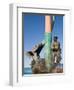 The Fisherman's Monument at the Playa Los Pinos, Mazatlan, Mexico-Charles Sleicher-Framed Photographic Print