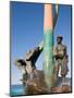 The Fisherman's Monument at the Playa Los Pinos, Mazatlan, Mexico-Charles Sleicher-Mounted Photographic Print