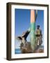 The Fisherman's Monument at the Playa Los Pinos, Mazatlan, Mexico-Charles Sleicher-Framed Photographic Print