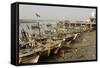 The Fishing Harbour on the Daman Ganga River, Daman, Gujarat, India, Asia-Tony Waltham-Framed Stretched Canvas