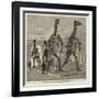 The Five Fossil Iguanodons in the Bernissart Gallery of the Natural History Museum at Brussels-null-Framed Giclee Print