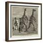 The Five Fossil Iguanodons in the Bernissart Gallery of the Natural History Museum at Brussels-null-Framed Giclee Print