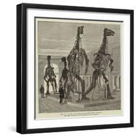 The Five Fossil Iguanodons in the Bernissart Gallery of the Natural History Museum at Brussels-null-Framed Giclee Print