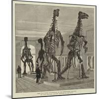 The Five Fossil Iguanodons in the Bernissart Gallery of the Natural History Museum at Brussels-null-Mounted Giclee Print