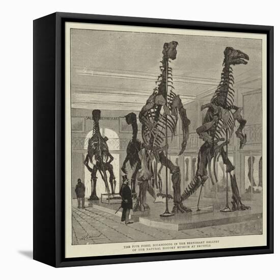 The Five Fossil Iguanodons in the Bernissart Gallery of the Natural History Museum at Brussels-null-Framed Stretched Canvas