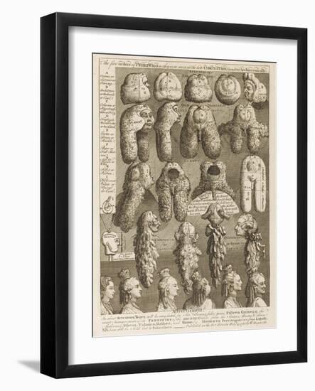 The Five Orders of Periwigs-William Hogarth-Framed Photographic Print