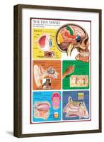 The Five Senses-null-Framed Art Print