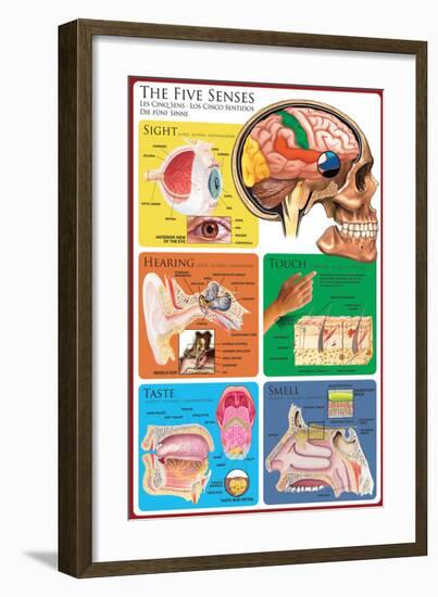 The Five Senses-null-Framed Art Print