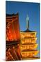 The Five Storey Pagoda at Sensi-Ji Temple at Night, Tokyo, Japan, Asia-Martin Child-Mounted Photographic Print