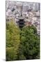 The Five-Tiered Pagoda of To-Ji, Looks Out over the Modern City of Kyoto, Japan-Paul Dymond-Mounted Photographic Print