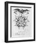 The Five Uncles of Freemasonry, 1848-null-Framed Giclee Print