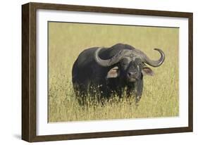 The Fixed Stare-Susann Parker-Framed Photographic Print