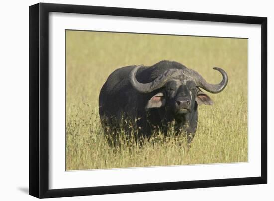 The Fixed Stare-Susann Parker-Framed Photographic Print