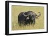 The Fixed Stare-Susann Parker-Framed Photographic Print