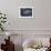 The Flag and Seal at a White House Press Briefing-Dennis Brack-Framed Photographic Print displayed on a wall