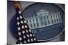The Flag and Seal at a White House Press Briefing-Dennis Brack-Mounted Photographic Print
