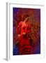 The Flamenco Dancer-Steven Boone-Framed Photographic Print