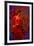 The Flamenco Dancer-Steven Boone-Framed Photographic Print