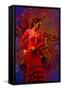The Flamenco Dancer-Steven Boone-Framed Stretched Canvas