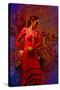 The Flamenco Dancer-Steven Boone-Stretched Canvas