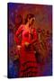 The Flamenco Dancer-Steven Boone-Stretched Canvas