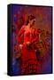The Flamenco Dancer-Steven Boone-Framed Stretched Canvas