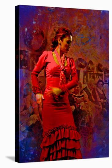 The Flamenco Dancer-Steven Boone-Stretched Canvas