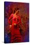 The Flamenco Dancer-Steven Boone-Stretched Canvas