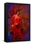 The Flamenco Dancer-Steven Boone-Framed Stretched Canvas