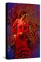 The Flamenco Dancer-Steven Boone-Stretched Canvas