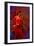 The Flamenco Dancer-Steven Boone-Framed Photographic Print