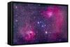 The Flaming Star Nebula in Auriga-Stocktrek Images-Framed Stretched Canvas
