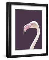 The Flamingo-Design Fabrikken-Framed Photographic Print