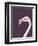 The Flamingo-Design Fabrikken-Framed Photographic Print