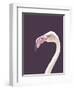 The Flamingo-Design Fabrikken-Framed Photographic Print