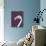 The Flamingo-Design Fabrikken-Photographic Print displayed on a wall