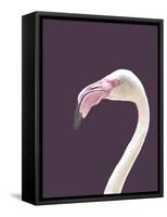 The Flamingo-Design Fabrikken-Framed Stretched Canvas