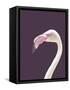 The Flamingo-Design Fabrikken-Framed Stretched Canvas