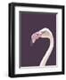 The Flamingo-Design Fabrikken-Framed Premium Photographic Print