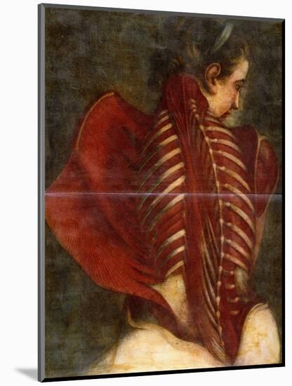 The Flayed Angel, C.1745-Jacques-Fabien Gautier d'Agoty-Mounted Giclee Print