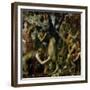 The Flaying of Marsyas, 1570-1575-Titian (Tiziano Vecelli)-Framed Giclee Print