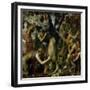 The Flaying of Marsyas, 1570-1575-Titian (Tiziano Vecelli)-Framed Giclee Print