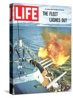 The Fleet Lashes Out, Bill Ray of USS Oklahoma Shelling the Viet Cong Off Vietnam, August 6, 1965-Bill Ray-Stretched Canvas