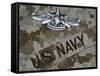 The Fleet Marine Force Warfare Specialist Pin-Stocktrek Images-Framed Stretched Canvas