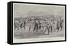 The Fleet Sports at Malta, a Seven-Pounder Field-Gun Obstacle Race-null-Framed Stretched Canvas