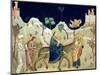 The Flight into Egypt-Giotto di Bondone-Mounted Premium Giclee Print