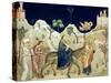 The Flight into Egypt-Giotto di Bondone-Stretched Canvas