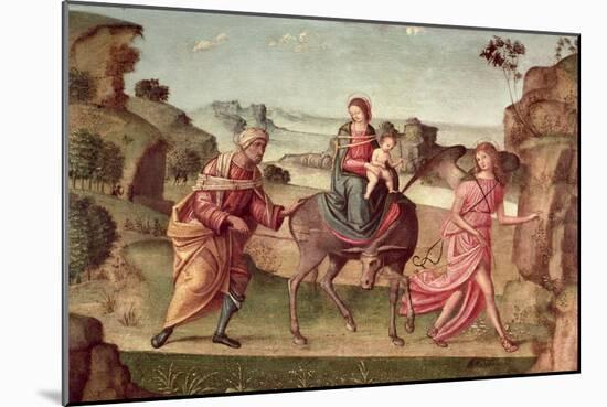 The Flight into Egypt-Il Francia-Mounted Giclee Print